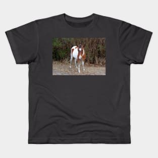 Wild horses, wildlife, Assateague, Island Babe Kids T-Shirt